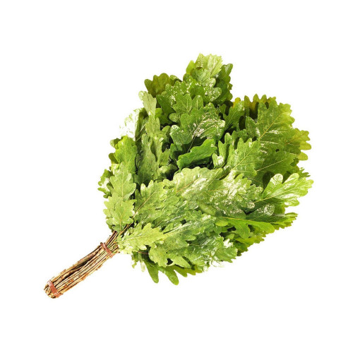 Веник ДУБОВЫЙ ОТБОРНЫЙ в индивидуальной упаковке