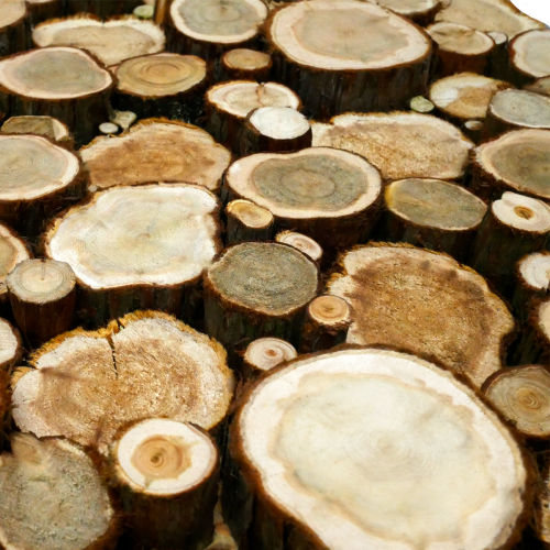 Панно из спилов можжевельника 700х700 мм 3Д